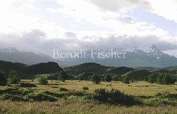 Anden Gebirge Wolken Pampa Grassteppe  - Zum Vergroessern klicken!