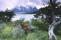 Anden Gebirge Lago Pehoe Cuernos del Paine - Zum Vergroessern klicken!