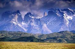 Anden Gebirge Cuernos del Paine Pampa Grassteppe - Zum Vergroessern klicken!