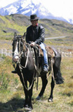 NP Torres del Paine Anden Gebirge Gaucho  - Zum Vergroessern klicken!