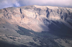 Anden Gebirge Patagonien - Zum Vergroessern klicken!