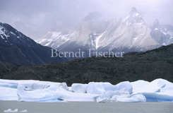 Lago Grey Gletscher - Zum Vergroessern klicken!