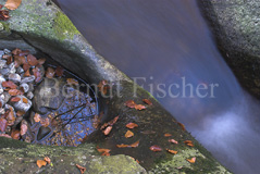 Steinklamm Bergbach Felsen Herbstlaub Licht Schatten - Zum Vergroessern klicken!