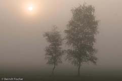 Sonnenaufgang - Zum Vergroessern klicken!