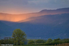 Vogesen - Zum Vergroessern klicken!