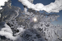 Vogesen  - Zum Vergroessern klicken!