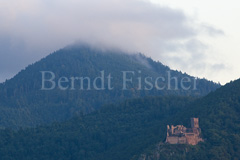 Ribeauvill - Zum Vergroessern klicken!