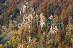 Vogesen - Zum Vergroessern klicken!