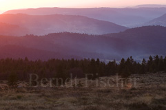 Vogesen - Zum Vergroessern klicken!