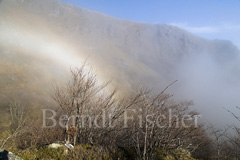 Vogesen - Zum Vergroessern klicken!
