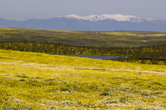 Estremadura - Zum Vergroessern klicken!