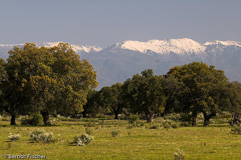 Dehesa - Zum Vergroessern klicken!