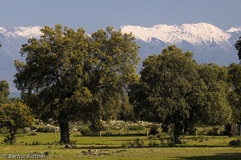 Dehesa - Zum Vergroessern klicken!