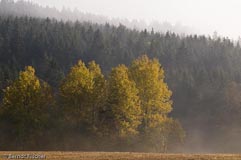 Fichtelgebirge  - Zum Vergroessern klicken!