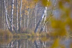 Fichtelgebirge  - Zum Vergroessern klicken!