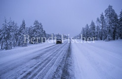 Strae im Winter - Zum Vergroessern klicken!