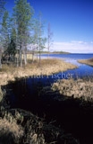 finnische Seenlandschaft bei Kuusamo - Zum Vergroessern klicken!