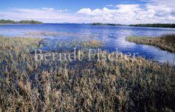 finnische Seenlandschaft bei Kuusamo - Zum Vergroessern klicken!