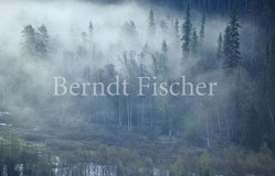 Nadelwaldtaiga im Morgennebel - Zum Vergroessern klicken!