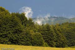 Fr�nkische Schweiz - Zum Vergroessern klicken!