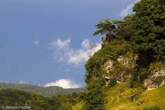 Frnkische Schweiz  - Zum Vergroessern klicken!