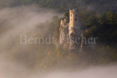 Ruine Neideck  - Zum Vergroessern klicken!