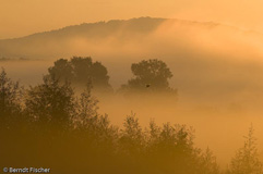 Jura Nebel - Zum Vergroessern klicken!