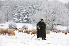 Steigerwald  - Zum Vergroessern klicken!