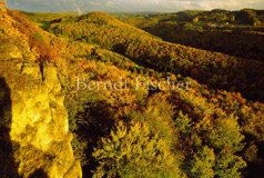 Jurafelsen Laubwald Herbstfarben - Zum Vergroessern klicken!