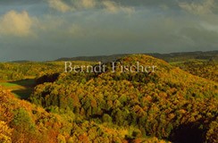 Buchenwald Bergland Herbstfarben - Zum Vergroessern klicken!