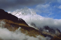NP Park des Ecrins franz�sische Alpen  - Zum Vergroessern klicken!