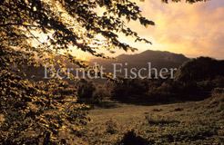 Wolkenstimmung - Zum Vergroessern klicken!