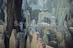 Jugenfriedhof - Zum Vergroessern klicken!