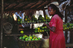 Markt Dorf Frau - Zum Vergroessern klicken!