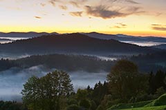 B�hmerwald - Zum Vergroessern klicken!