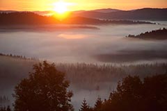 B�hmerwald - Zum Vergroessern klicken!