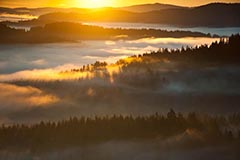 Bhmerwald - Zum Vergroessern klicken!