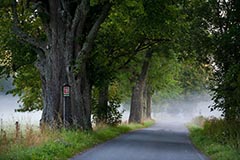 Bhmerwald - Zum Vergroessern klicken!