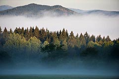 Bhmerwald - Zum Vergroessern klicken!
