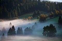 Bayerischer Wald - Zum Vergroessern klicken!