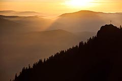 Osser - Zum Vergroessern klicken!
