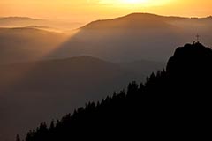 Osser - Zum Vergroessern klicken!