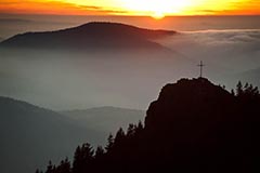 Osser - Zum Vergroessern klicken!