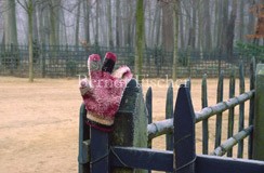 Schloss Versailles Park verlorener Handschuh - Zum Vergroessern klicken!