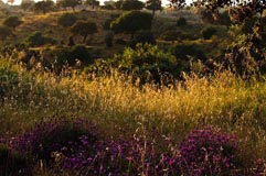  - Zum Vergroessern klicken!