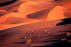 Sossus Vlei - Zum Vergroessern klicken!