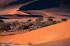 Sossus Vlei - Zum Vergroessern klicken!