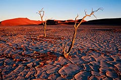 Sossus Vlei - Zum Vergroessern klicken!