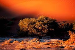 Sossus Vlei - Zum Vergroessern klicken!