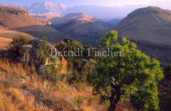 Drakensberge - Zum Vergroessern klicken!